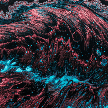 artworks-6 artworks-6